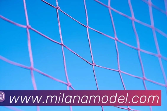 米兰milan官网服务体系